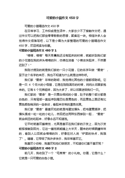 可爱的小猫精选作文450字