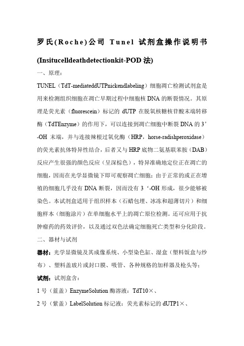 翻译好的 罗氏公司Tunel试剂盒操作说明书 (2)