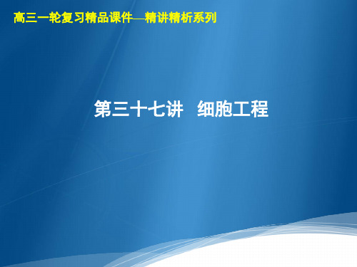 高三生物一轮复习精品课件1：第37讲  细胞工程