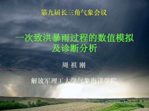 一次致洪暴雨过程的数值模拟及诊断分析20121123