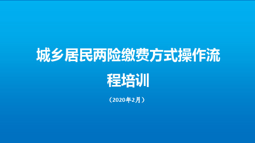 城乡居民两险缴费方式操作流程培训PPT(2)