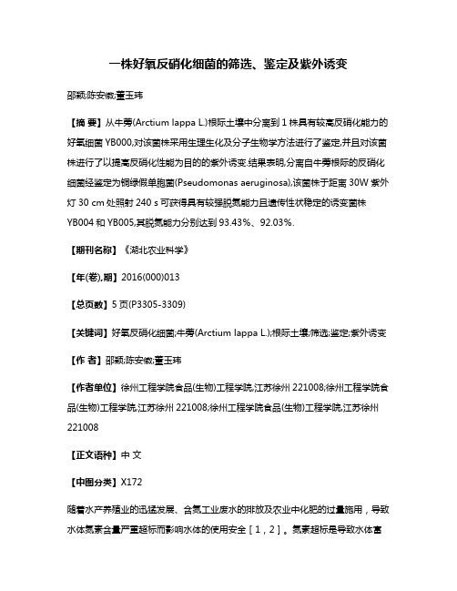 一株好氧反硝化细菌的筛选、鉴定及紫外诱变