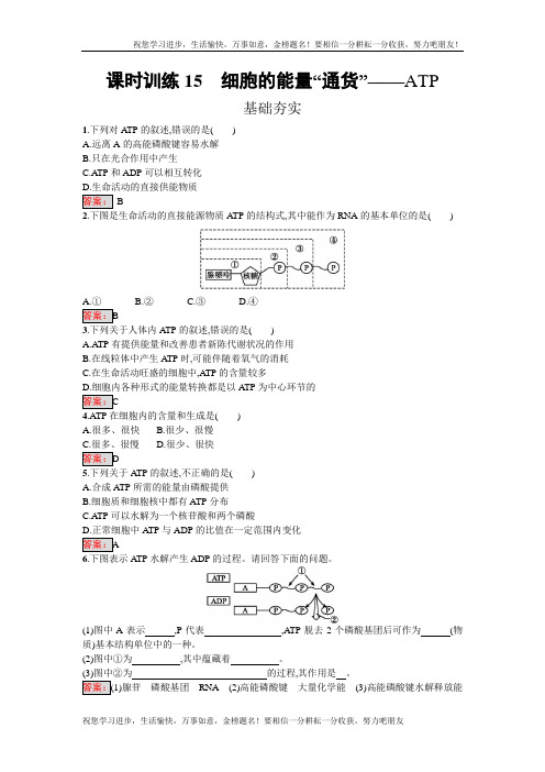 高中生物必修一(人教版)练习：5.2细胞的能量“通货”——ATP 