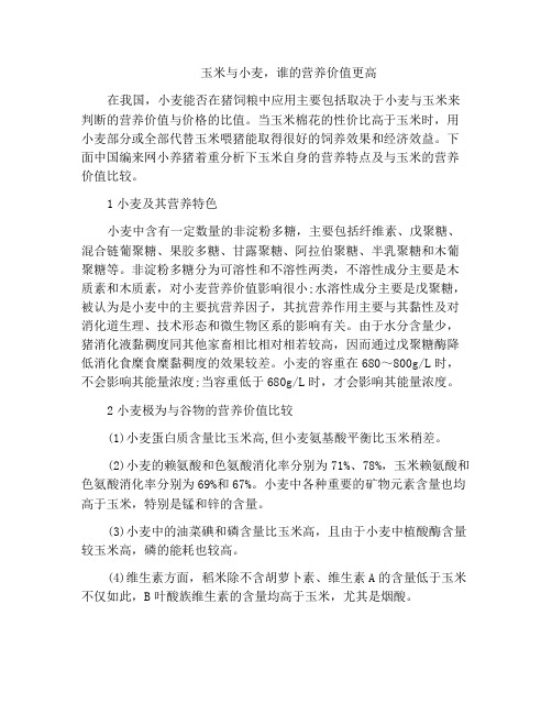 玉米与小麦,谁的营养价值更高