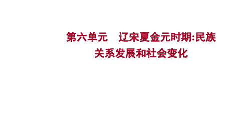 2023年中考历史考点梳理课件-第六单元 辽宋夏金元时期：民族关系发展和社会变化