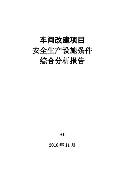 车间改建项目安全生产设施条件综合分析报告