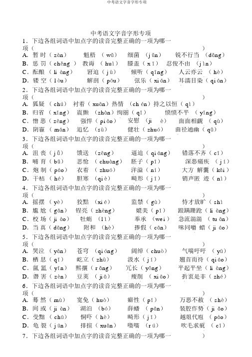 中考语文字音字形专项