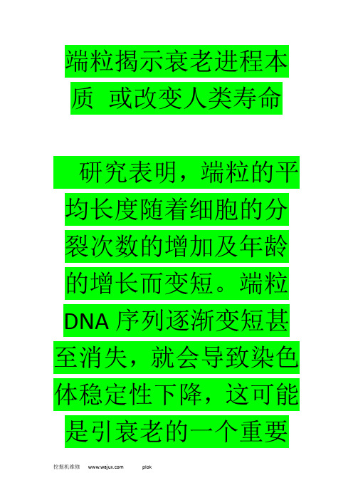 端粒揭示衰老进程本质 或改变人类寿命