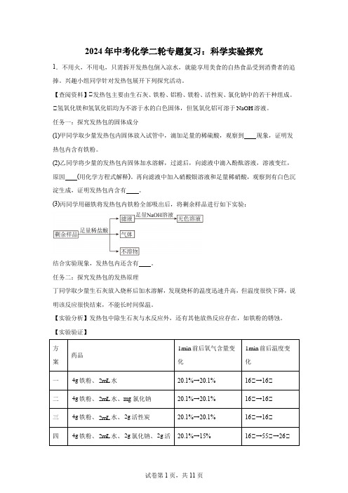 2024年中考化学二轮专题复习科学实验探究