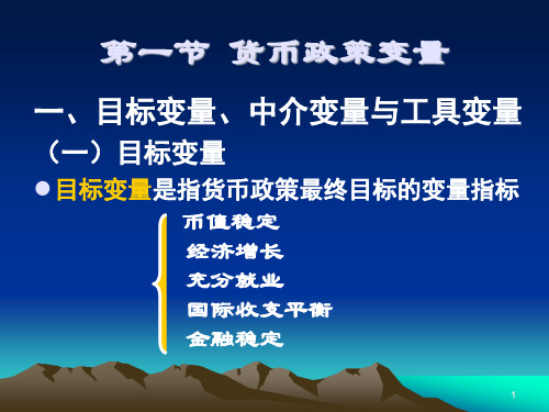 第十章货币政策传导机制及效果检验