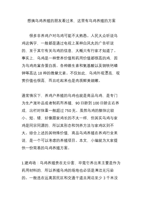 想搞乌鸡养殖的朋友看过来,这里有乌鸡养殖的方案