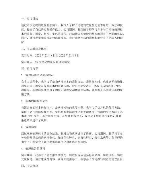 动物病理检验学实习报告