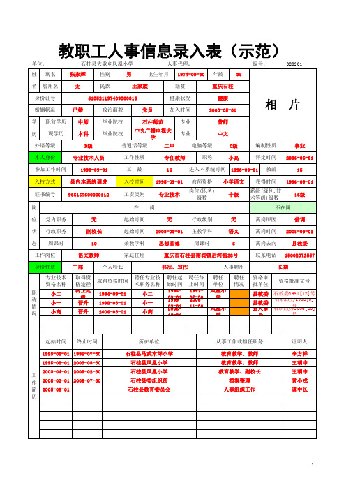 教育系统工资履历 样表