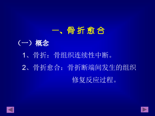 骨折愈合及骨肿瘤PPT课件