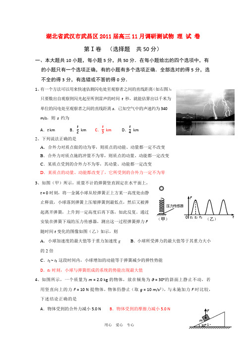 湖北省武汉市武昌区2011届高三物理十一月调研测试