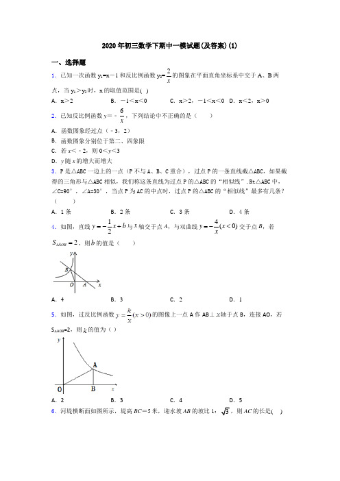 2020年初三数学下期中一模试题(及答案)(1)