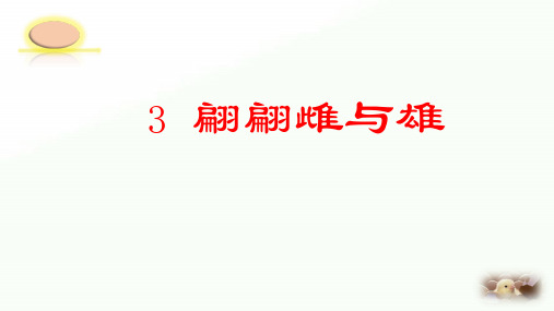 2020年四年级下册科学课件-2.3《翩翩雌与雄》 ｜湘科版(一起)       (共12张PPT)