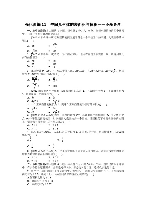 新高考数学二轮专题复习高频考点强化训练11(附解析)