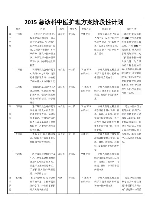 2015中医护理方案计划