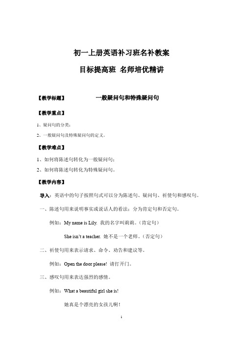 人教新目标七年级英语上册语法专项：《一般疑问句和特殊疑问句》教学设计