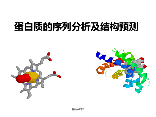 蛋白质的序列分析及结构预测