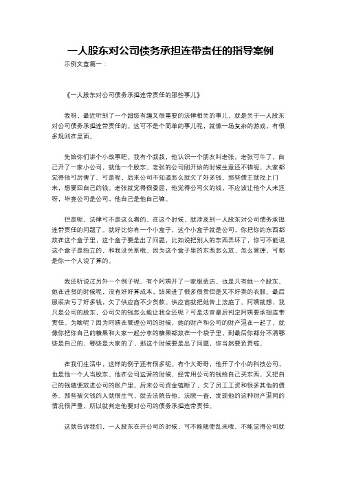 一人股东对公司债务承担连带责任的指导案例