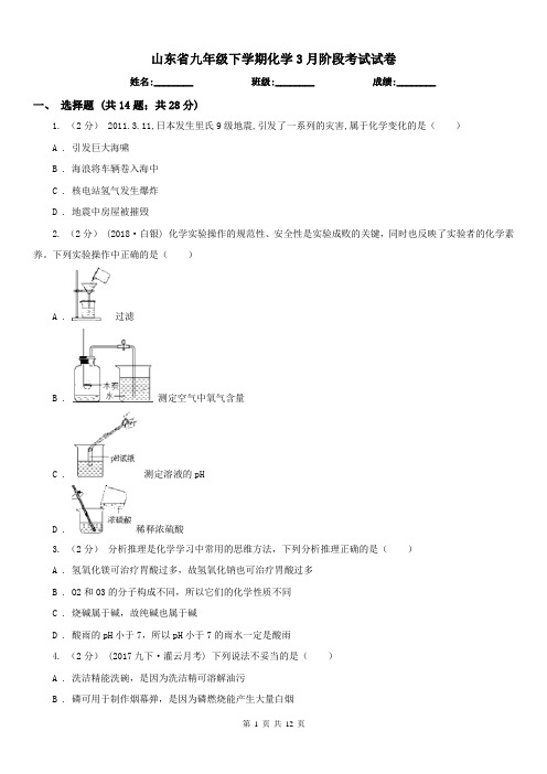 山东省九年级下学期化学3月阶段考试试卷