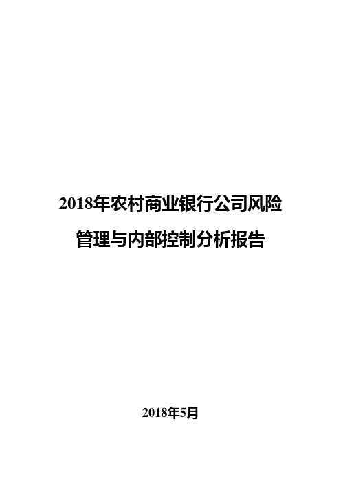 2018年农村商业银行公司风险管理与内部控制分析报告