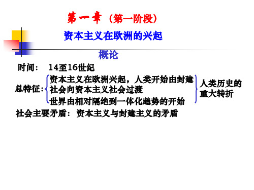 第一节 欧洲资本主义工商业的出现.ppt