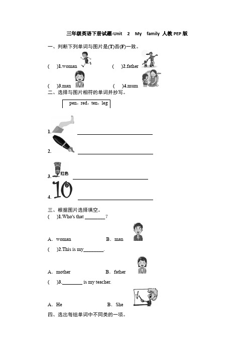 人教PEP三年级英语下册试题Unit  2  My  family (含答案)