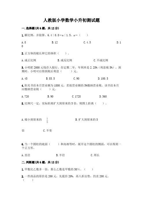 人教版小学数学小升初测试题一套及答案(全国通用)