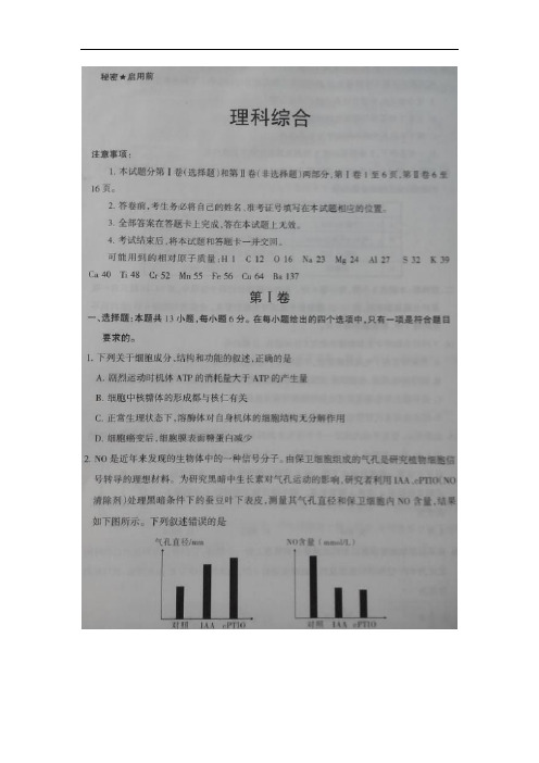山西省孝义市2016届高三下学期最后一次模拟考试理科综合试题生物试题 扫描版含答案