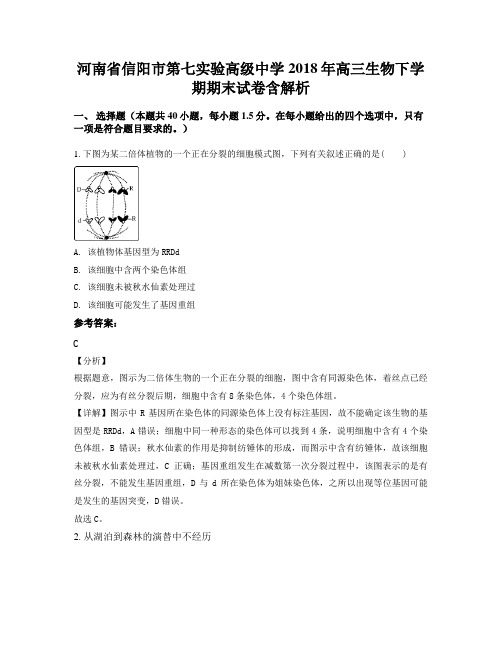 河南省信阳市第七实验高级中学2018年高三生物下学期期末试卷含解析