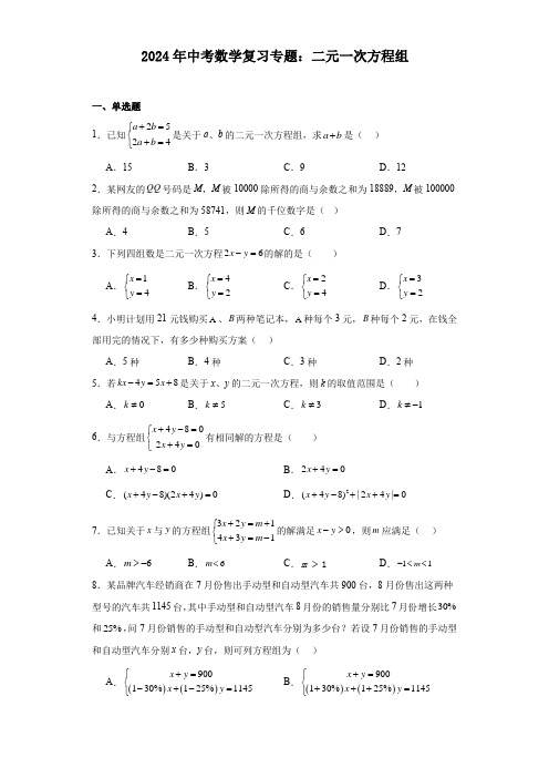 2024年中考数学复习专题：二元一次方程组(含答案)