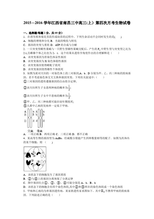 江西省南昌三中2016届高三上学期第四次月考生物试卷 含解析