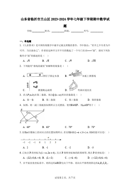 山东省临沂市兰山区2023-2024学年七年级下学期期中数学试题