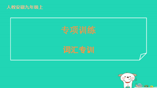 安徽省2024九年级英语全册专项训练词汇专训课件新版人教新目标版