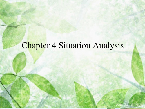 Situation Analysis情景分析