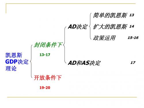 macro19-20