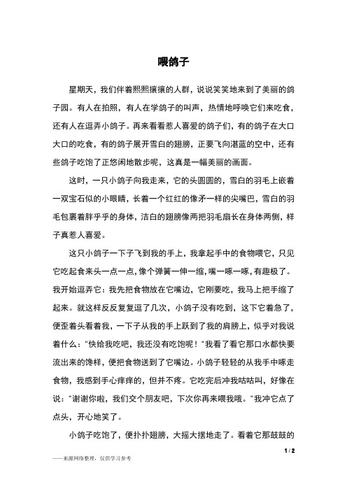 喂鸽子_六年级作文
