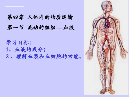 流动的组织-血液(1)(人教版生物)