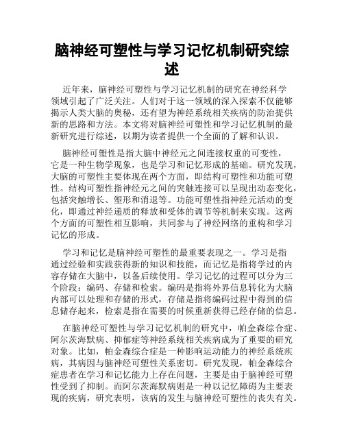 脑神经可塑性与学习记忆机制研究综述