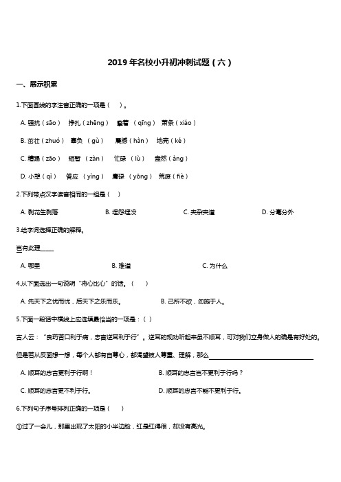 2019年名校小升初语文冲刺试题(6)(人教新课标) 含答案