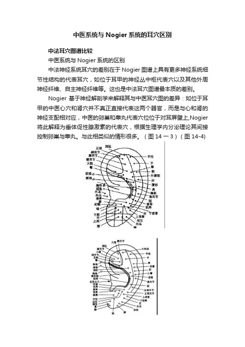 中医系统与Nogier系统的耳穴区别