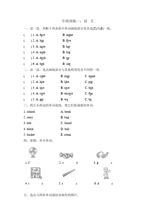 人教PEP英语六年级上册期末专项训练 词汇【新版】