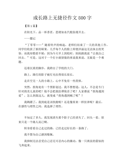 成长路上无捷径作文800字