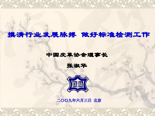 摸清行业发展脉搏共51页