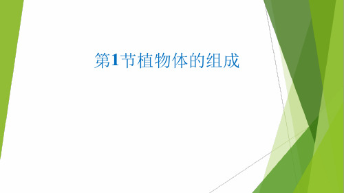 苏科版七年级下册生物 91植物体的组成 课件 共20张