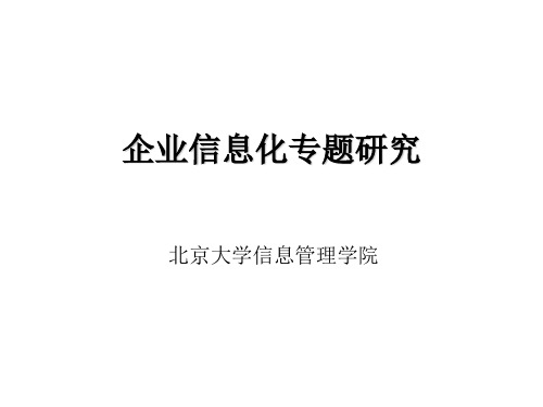 企业信息化概述.ppt