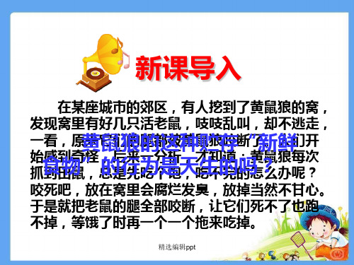 先天性行为和学习行为ppt课件